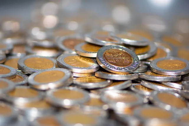 coins, money, cash, savings, metal, finance, profit, deposit, earning, many, israeli shekels, income, currency, bank, coinage, sheqalim, sheqel, inflation, banking, trade, market, conversion, loose change, sparks, android wallpaper, inflation, inflation, inflation, inflation, inflation. Documenting currency conversion assumptions